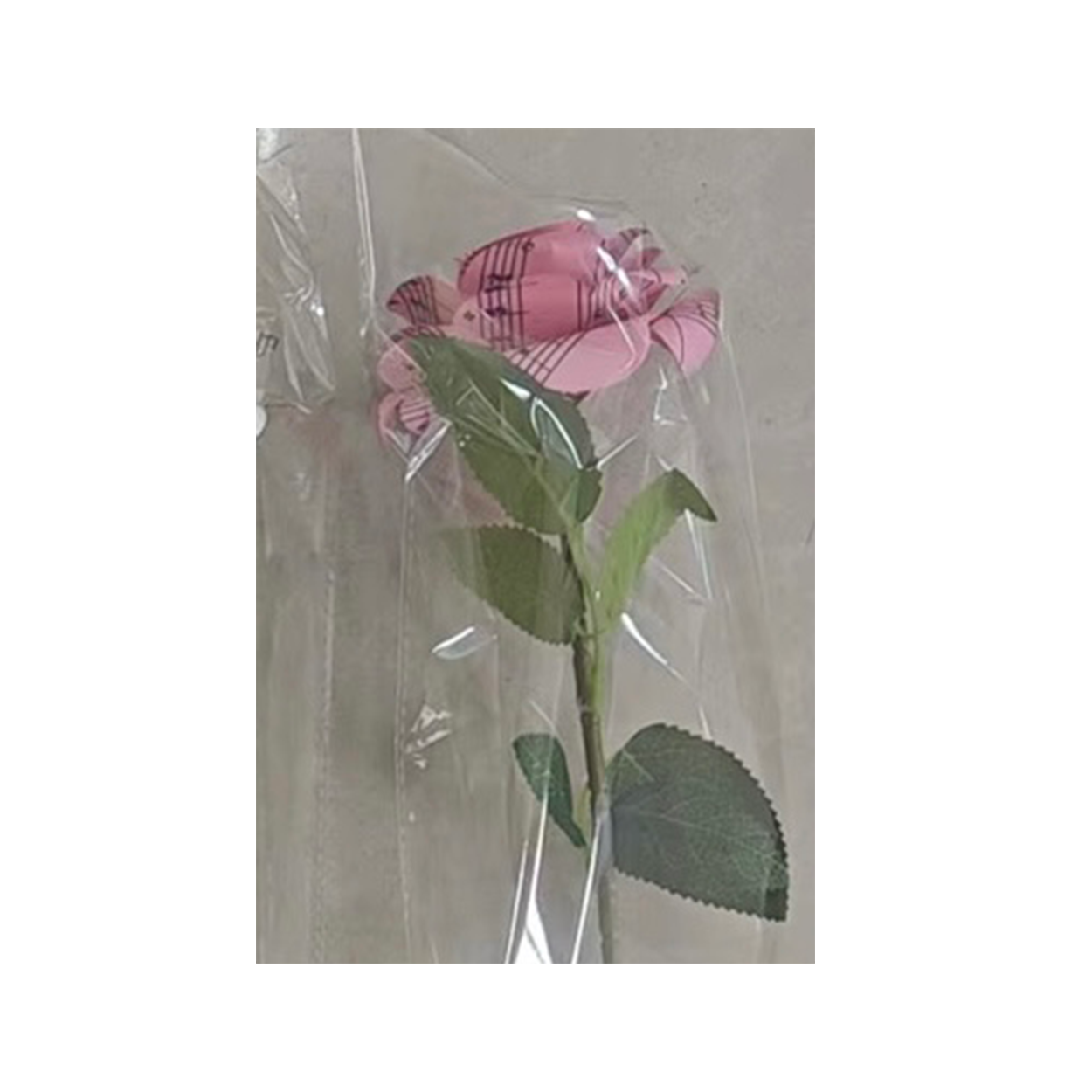 Sheet Music Rose (Pink)