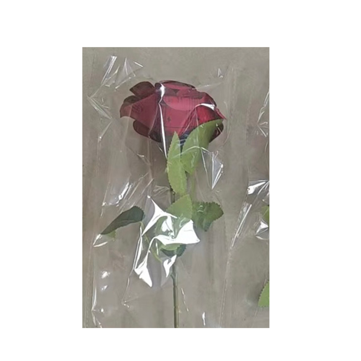 Sheet Music Rose (Red)